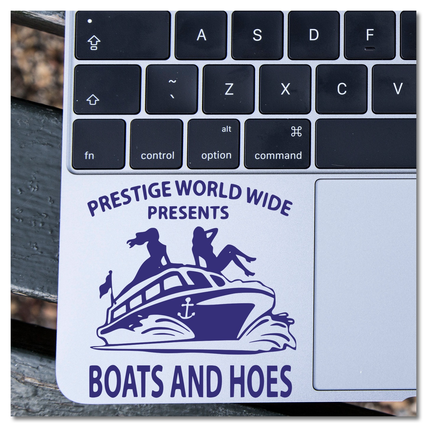 Stepbrothers Boats & Hoes Vinyl Decal Sticker