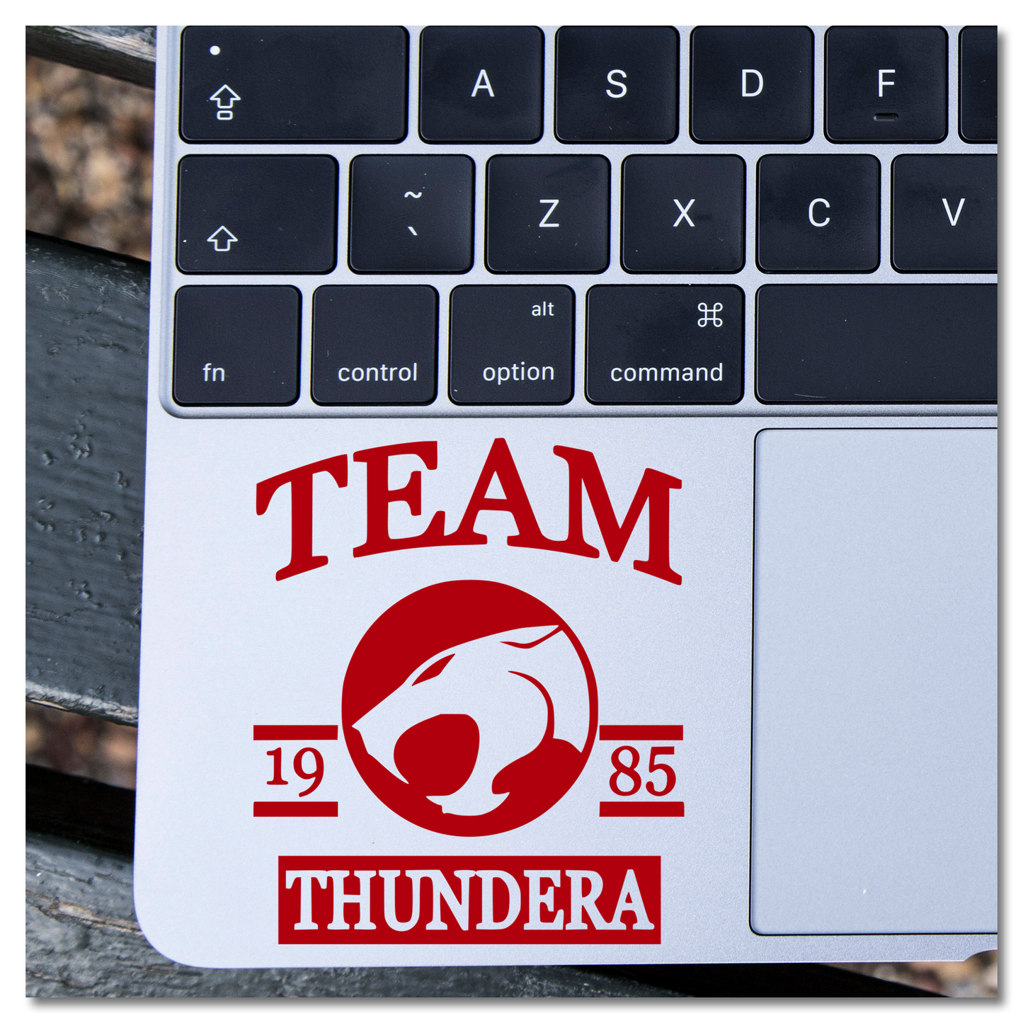 Thundercats Team Thundara Vinyl Decal Sticker