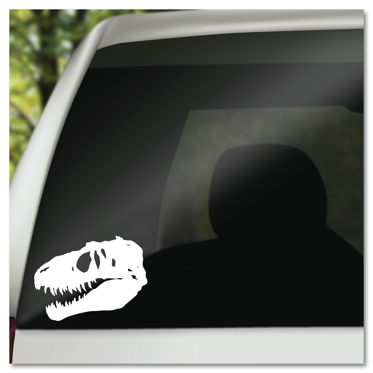 T-Rex Skedel Fossiel Viniel Decal Plakker