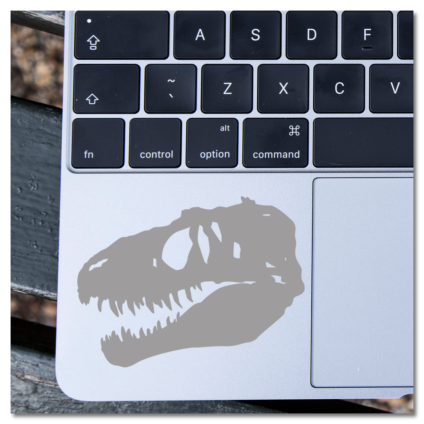 T-Rex Skull Fossil Vinyl Decal Sticker