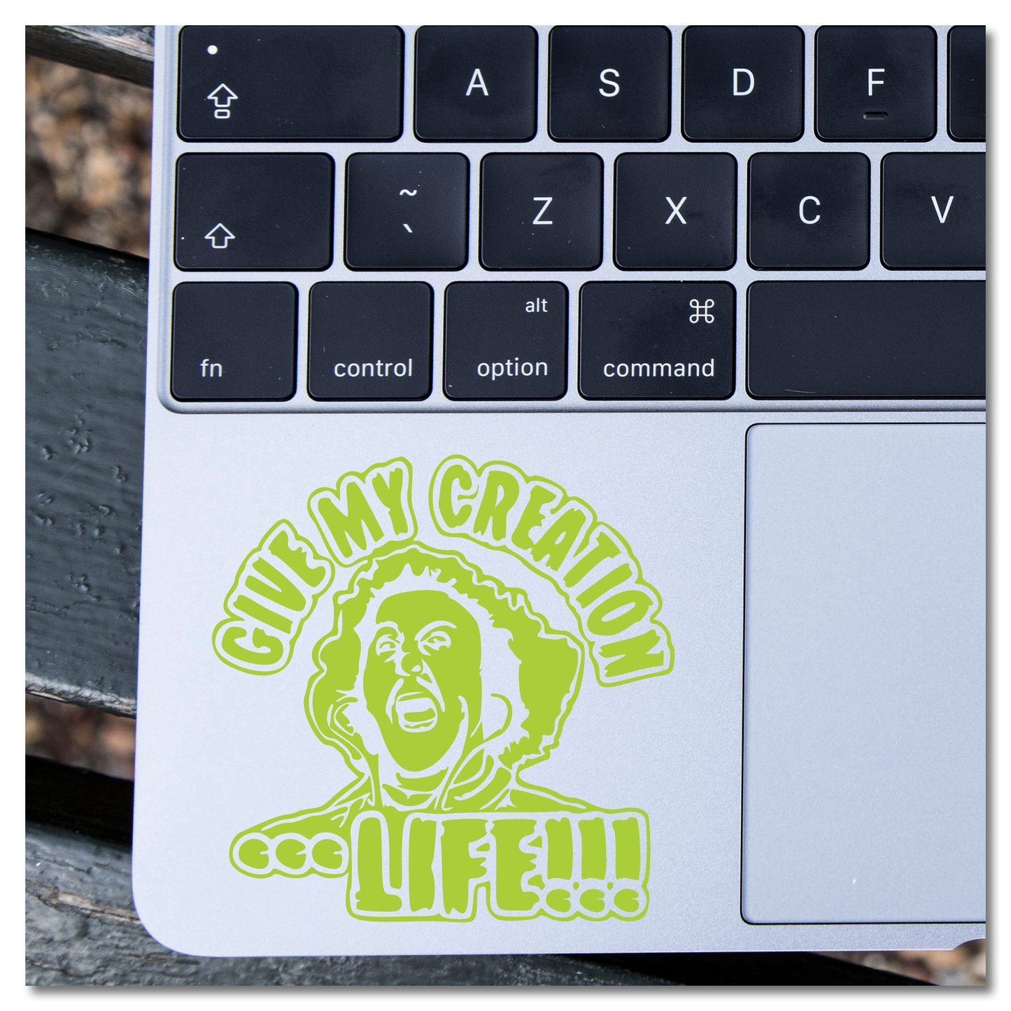 Young Frankenstein Give My Creation Life Vinyl Decal Sticker