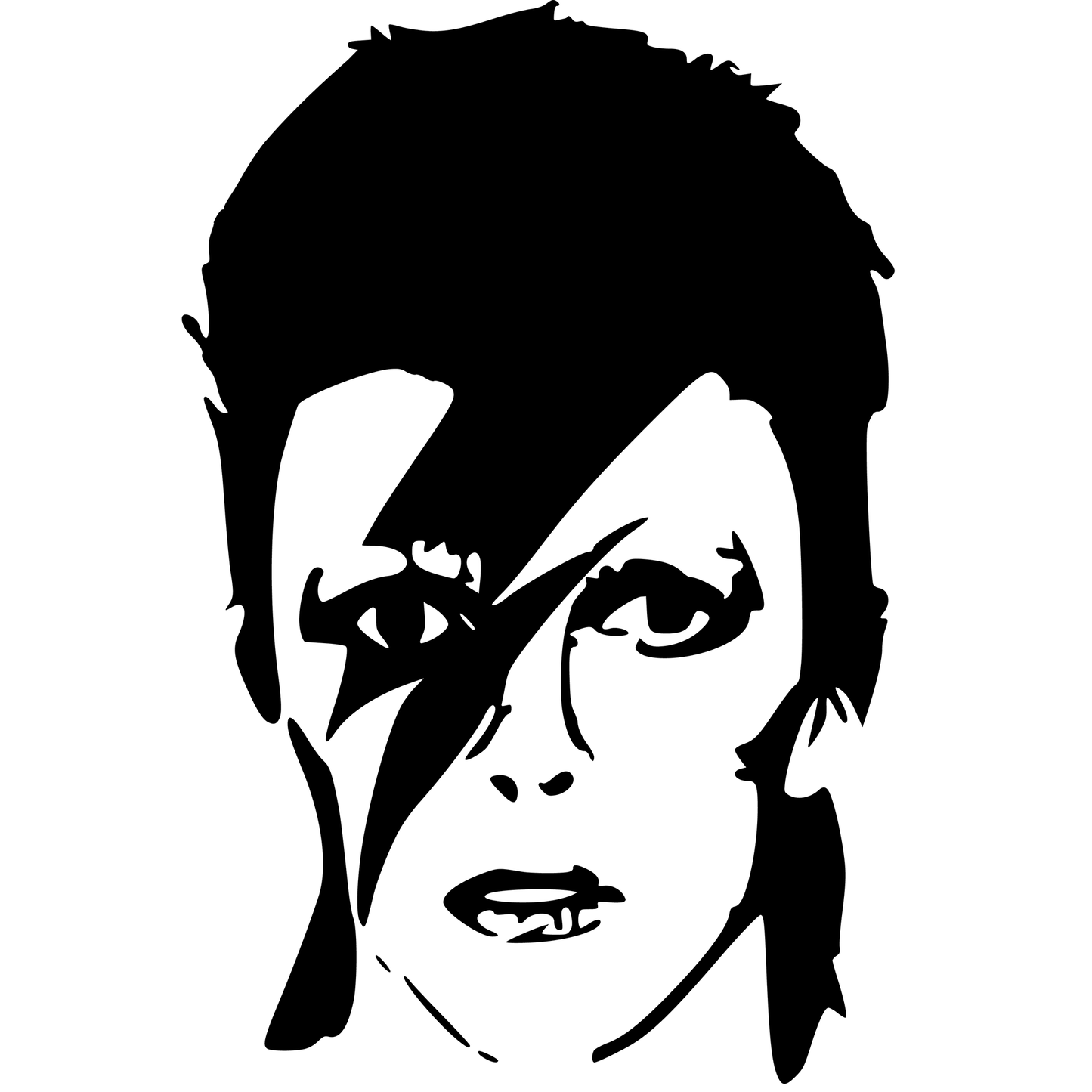 Ziggy Stardust Vinyl Decal Plakker