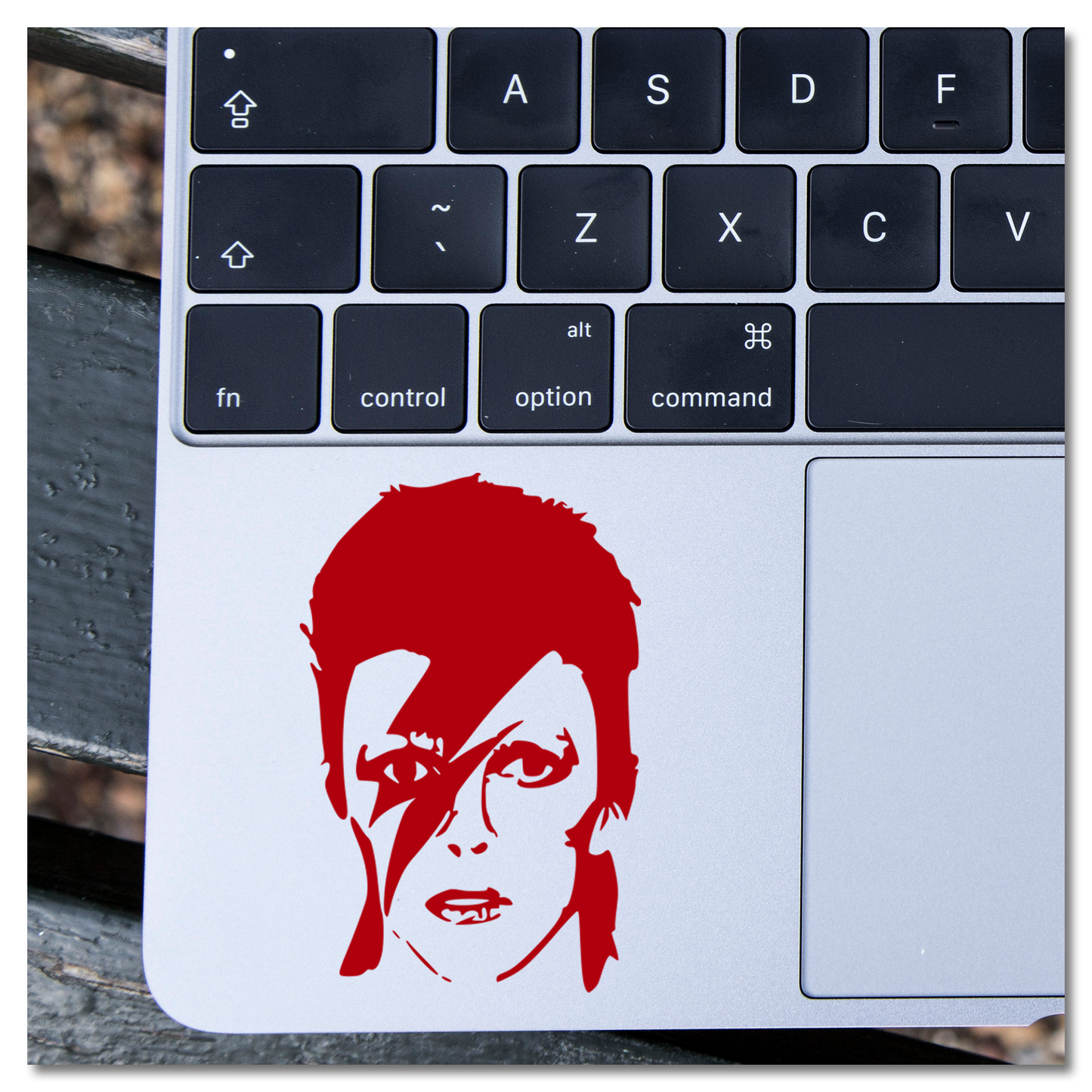 Ziggy Stardust Vinyl Decal Sticker